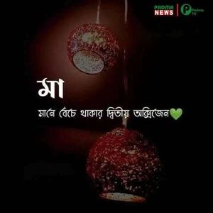 Meet your Posher, Jumi